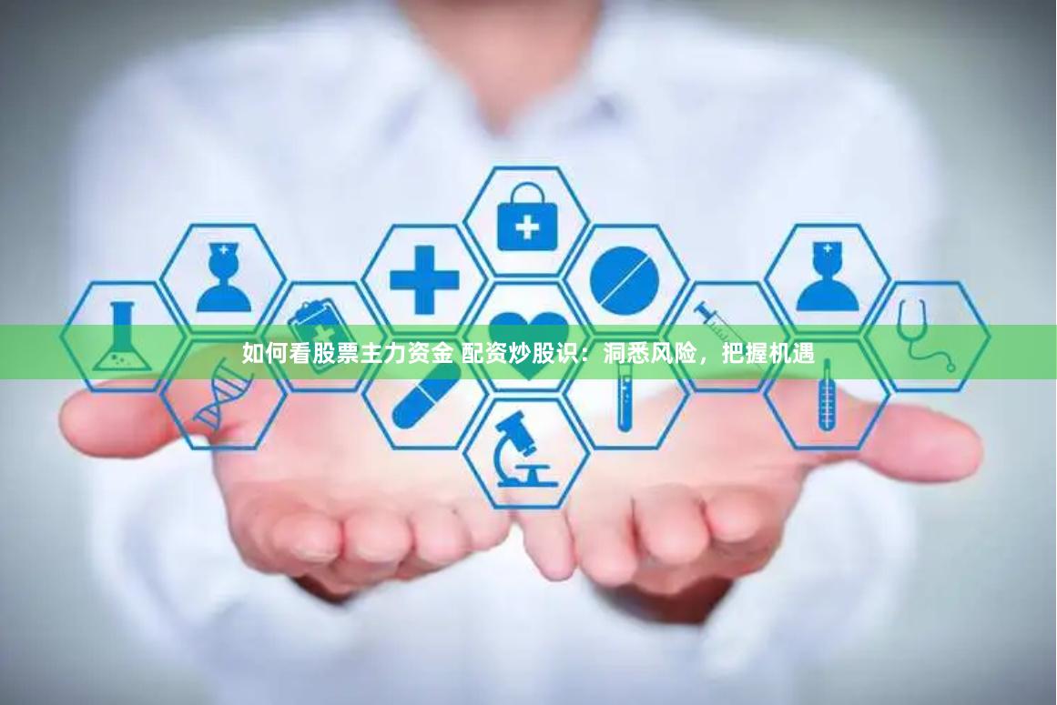 如何看股票主力资金 配资炒股识：洞悉风险，把握机遇